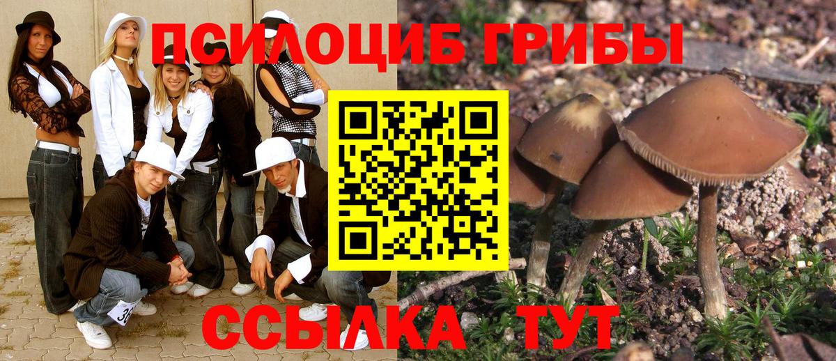 Галлюциногенные грибы MAGIC MUSHROOMS  наркотики  Щёлково  Вход с VPN 